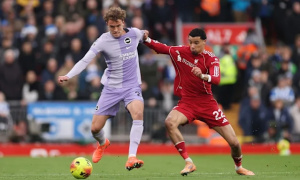 Zamora cảnh báo Liverpool về cú sốc từ Brighton