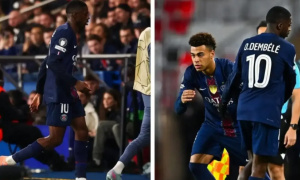 Fan PSG phẫn nộ, chỉ trích Luis Enrique vì mạo hiểm với Dembele