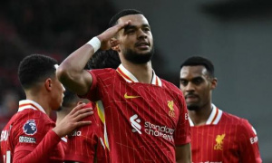 Đá thay Salah, Gakpo phải tỏa sáng nếu không muốn rời Liverpool