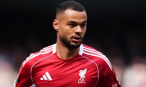 Lý do De Zerbi chọn Cody Gakpo làm bom tấn của Spurs