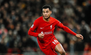 Romano hé lộ điều kiện để Tottenham chiêu mộ Gakpo