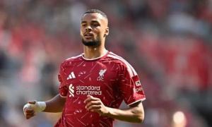 Đằng sau quyết định đưa Gakpo vào tầm ngắm của Tottenham