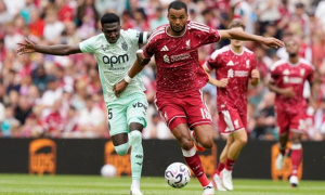 Lý do Roberto De Zerbi muốn đưa Cody Gakpo về Tottenham