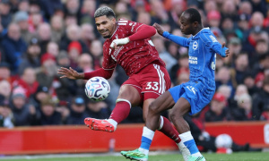 CĐV Liverpool nhận sai về Araujo