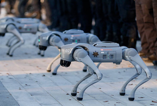 Mexico tung biệt đội chó Robot để giữ an ninh World Cup