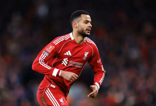 Liverpool bán Gakpo dọn chỗ đón sao 100 triệu bảng