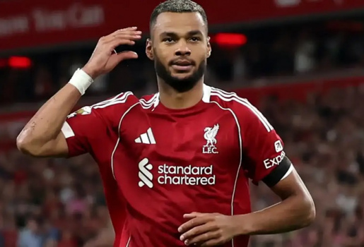 Liverpool quyết giữ chân Gakpo sau kỳ World Cup thăng hoa