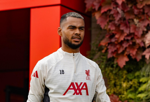 Romano xác nhận Tottenham muốn chiêu mộ Gakpo