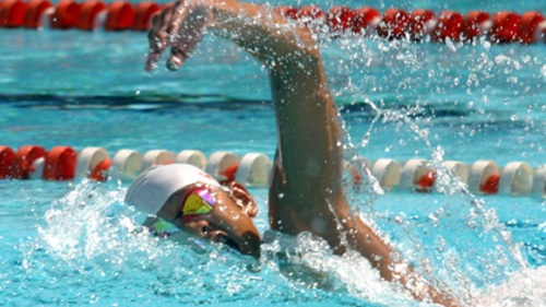 Mong sóng yên biển lặng