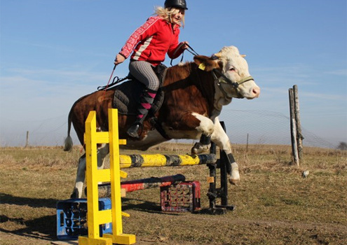 10 clip thể thao gây sốt trên mạng năm 2011