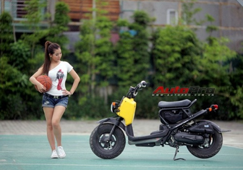 Honda giới thiệu Zoomer 2013 với bộ cánh mới