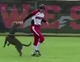 Video: Tuyển thủ phát hoảng vì bị...chó cướp bóng