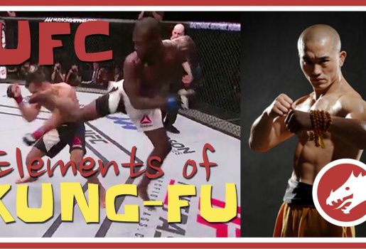 Ngả mũ thán phục những đòn kung-fu vi diệu ở UFC