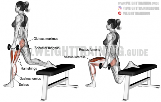 Dumbbell-one-leg-split-squat