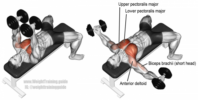 dumbbell-chest-fly-990x500