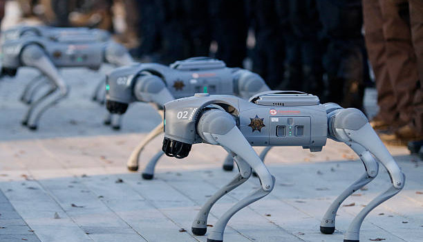 Mexico tung biệt đội chó Robot để giữ an ninh World Cup