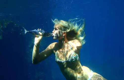 Cảm động và thán phục trước nhà vô địch lướt ván bị cá mập cắn cụt tay