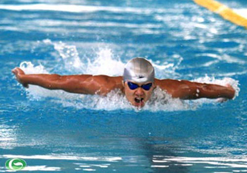 Giải bơi vô địch châu Á 2012: Chờ Ánh Viên, Quý Phước tỏa sáng