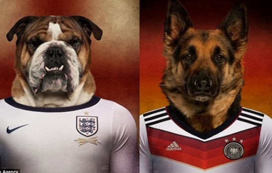 Điểm mặt các đội tuyển dự World Cup qua...ảnh chó