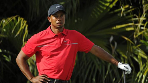 Golf: Tiger Woods sắp mất ngôi số 1 thế giới