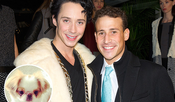 Sao trượt băng đồng tính chia tay chồng