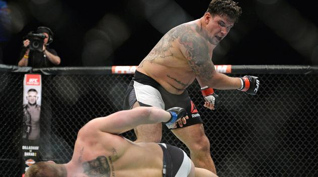 Mir muốn được thượng đài cùng huyền thoại Emelianenko