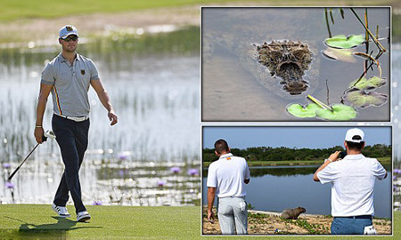 Tay golf dự Olympic Rio chết ngất khi sân golf đầy cá sấu và rắn độc