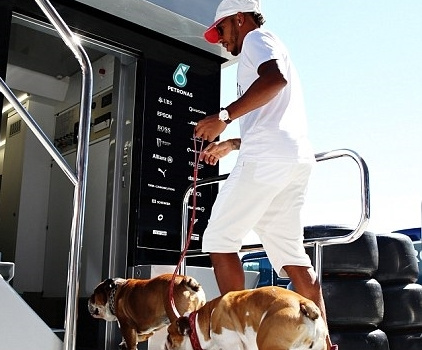 Hamilton thảnh thơi dắt chó đi dạo trước thềm Grand Prix nước Bỉ