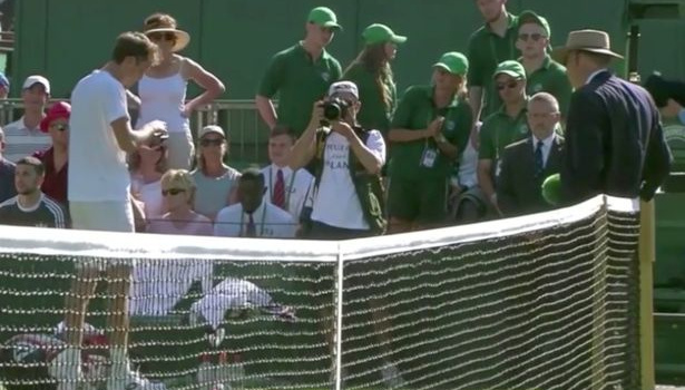 Hiện tượng Wimbledon gây sốc khi ném tiền xu vào trọng tài