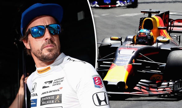 Red Bull phủ nhận việc lôi kéo Fernando Alonso