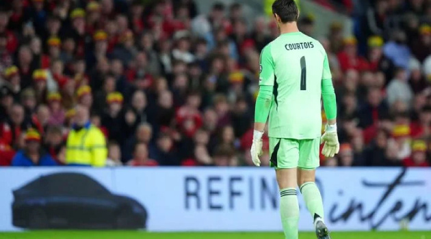 Trận Bỉ – Xứ Wales tạm dừng vì sự cố hi hữu trên sân